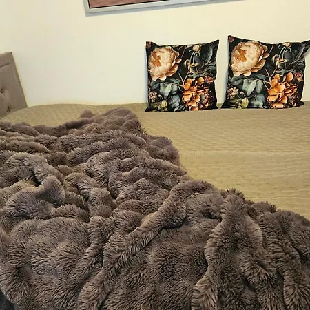 Ferienwohnung Bad Bergzabern *