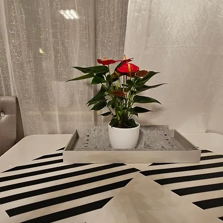 Ferienwohnung Bad Bergzabern 巴特贝格匝本