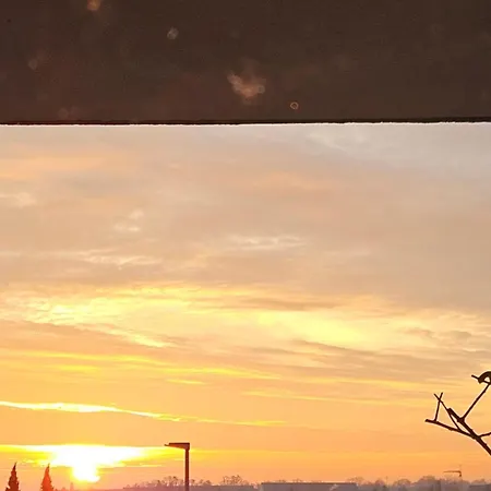 Апартаменты Ferienwohnung Bad Bergzabern