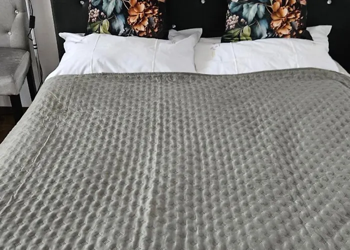 Ferienwohnung Bad Bergzabern Bad Bergzabern